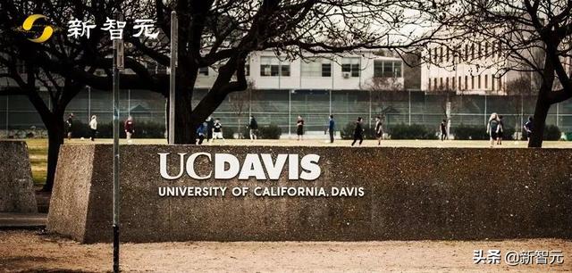 加州大學近日向師生發警告：超2萬名中國留學生或受影響