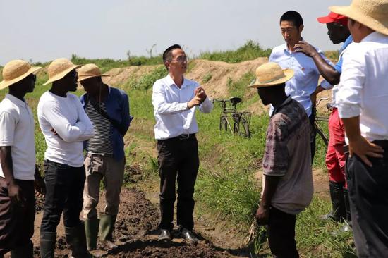 今年3月，在布隆迪西北部布班扎省宁加村，中国援助布隆迪农业专家组专家在中国杂交水稻示范田指导当地农业技术员。 新华社记者吕天然摄