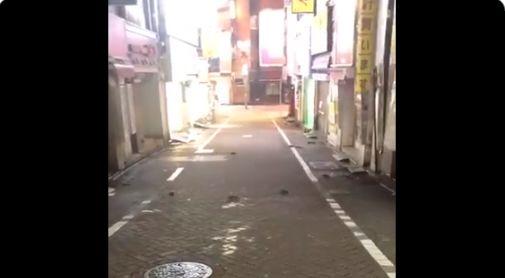 台風已致日本52死 東京鬧市成群老鼠上街
