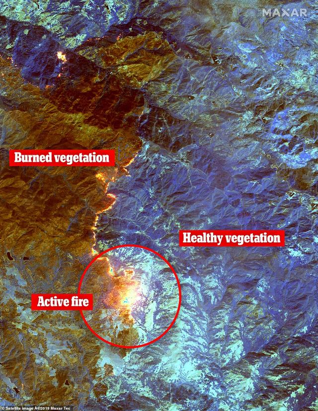 滚滚白烟一片焦黄！太空拍摄的卫星图像：金卡德野火正在撕裂加州