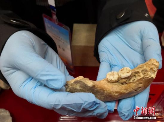 中国唯一！甘肃研究入选2019十大考古发现