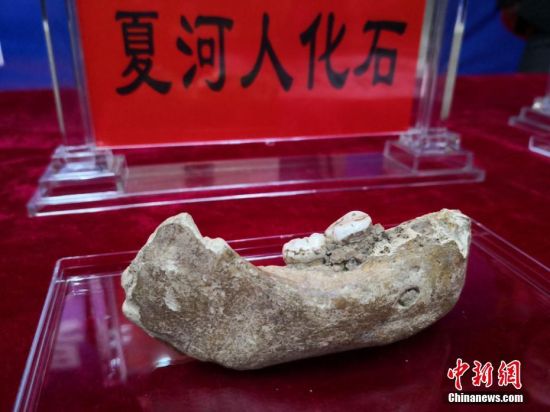 中国唯一！甘肃研究入选2019十大考古发现