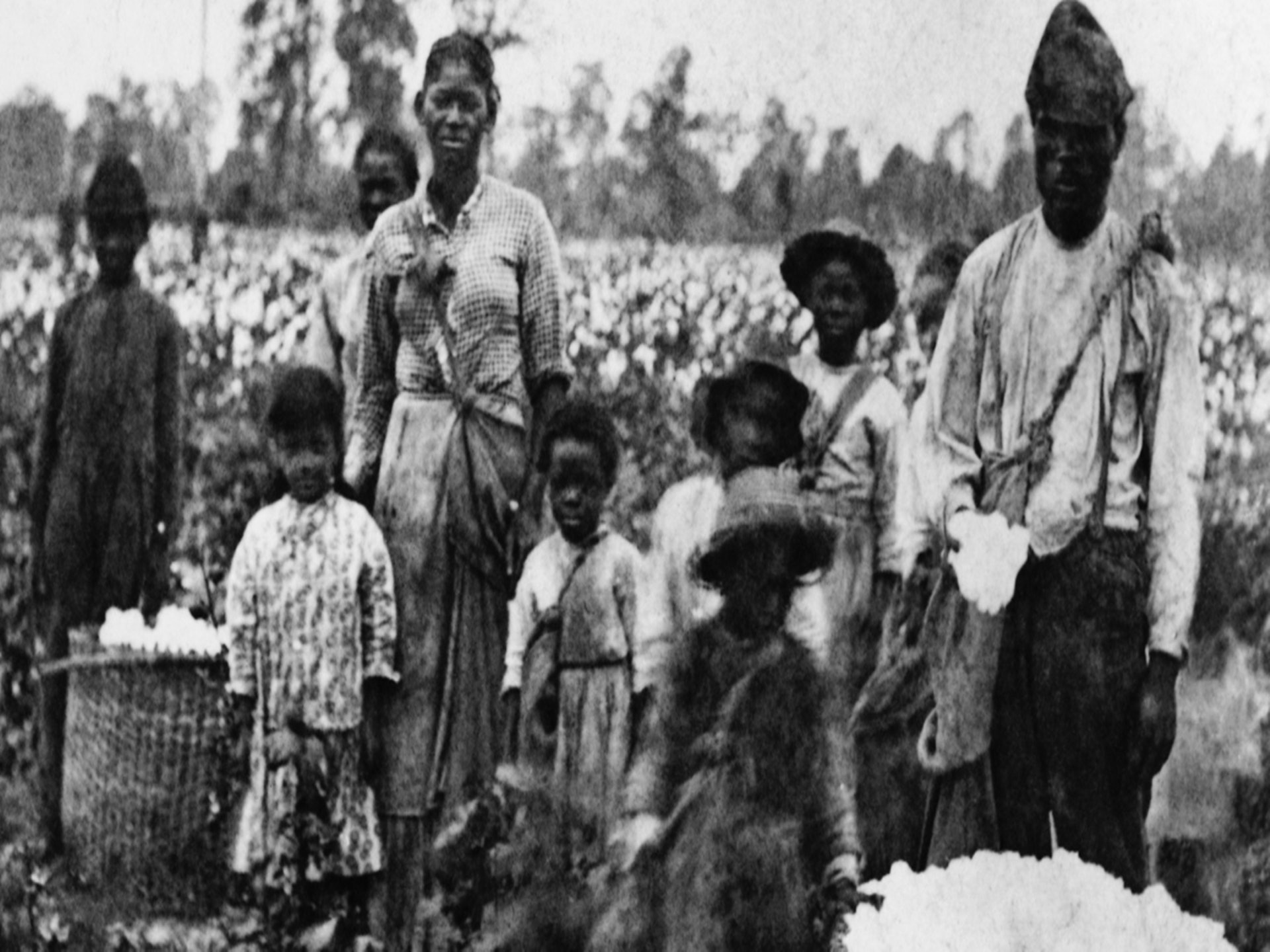 在棉花田裏勞動的美國黑奴。（History網）