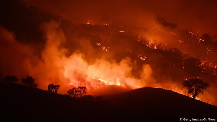 Australien Waldbrände | Mount Adrah (Getty Images/S. Mooy)