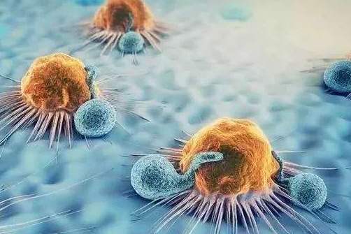 英国科学家实验中偶然发现“可能杀死所有癌症”免疫细胞(图)