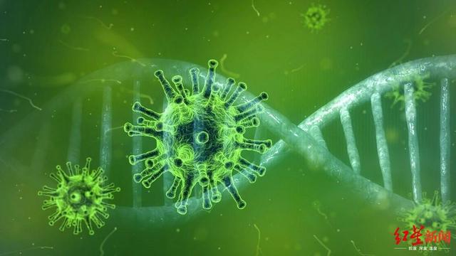 巴西发现神秘病毒，科学家：90%基因前所未见(图)