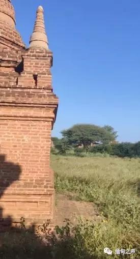 外國情侶在緬甸蒲甘佛塔內拍攝淫穢視頻、照片！必須嚴懲