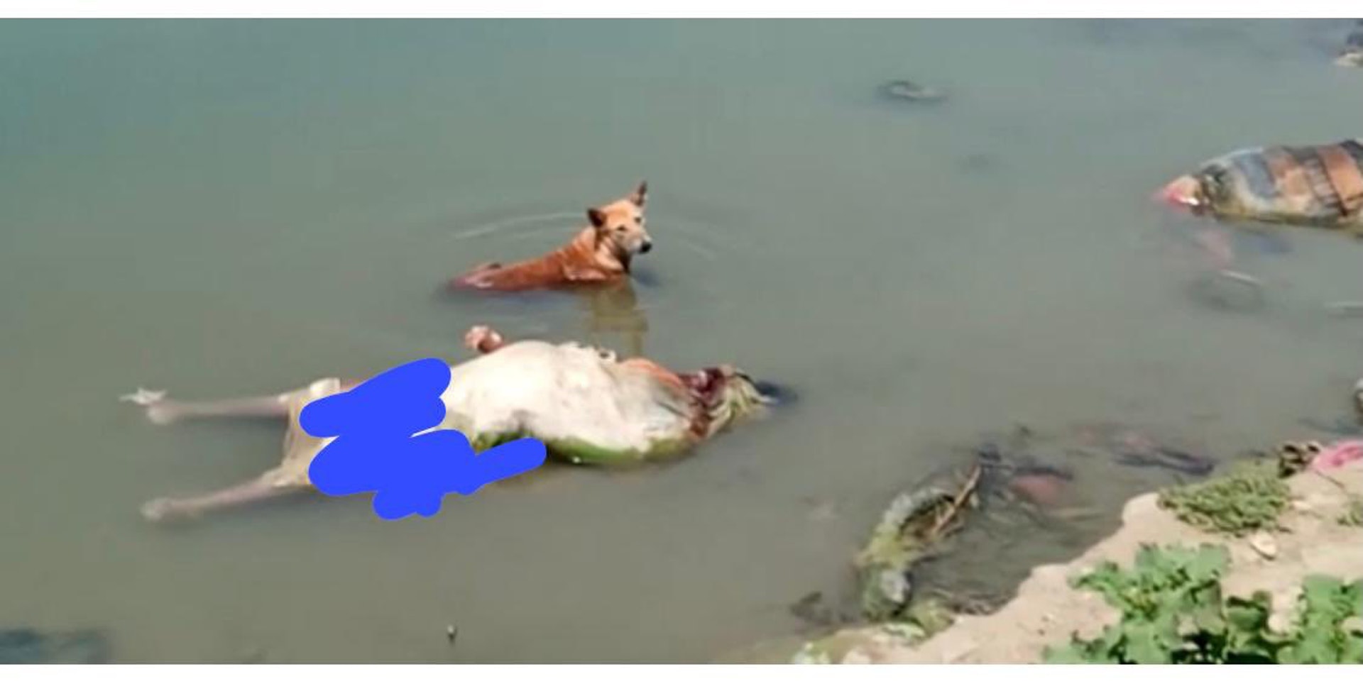 慎入！印度恒河河岸发现大量尸体 官方:与病毒无关