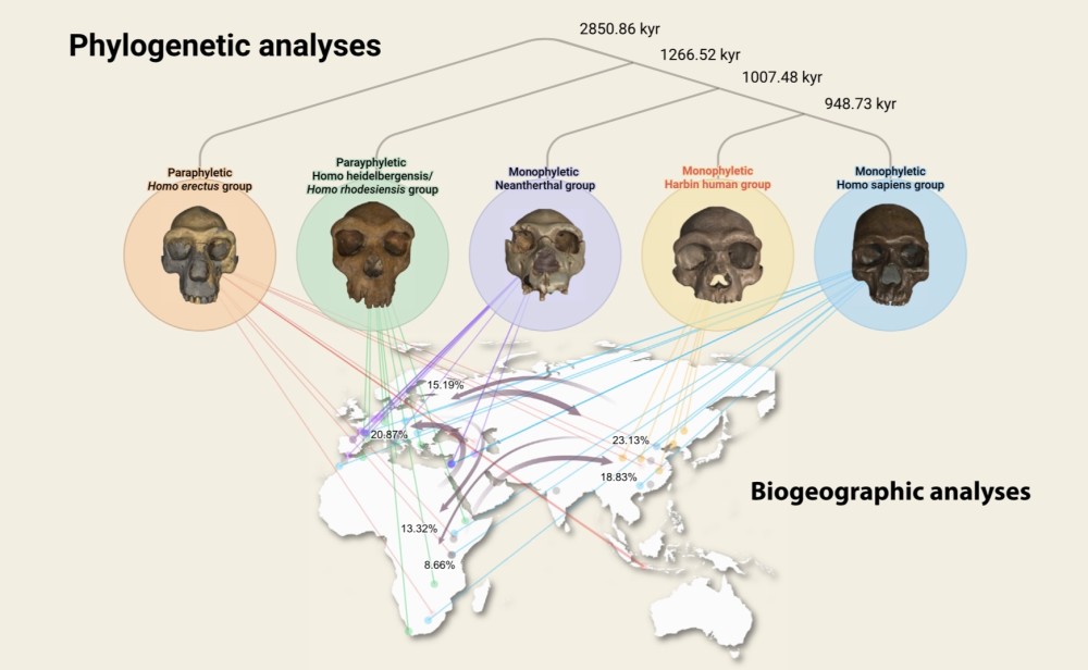 科学家在东北发现14.6万年前新人种：命名为龙人