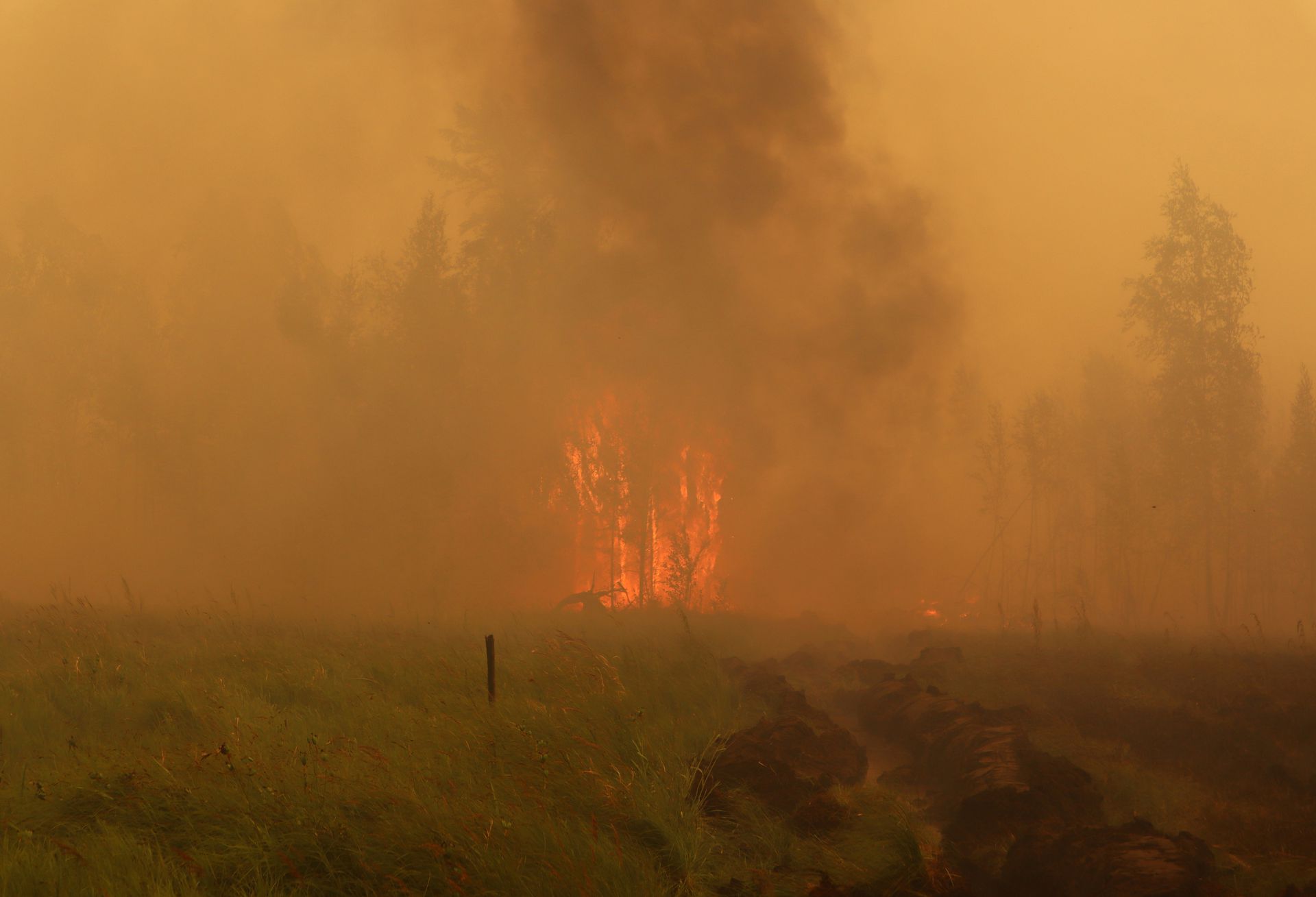 一场大火24小时吞没10万公顷森林 这国多地成“烟城”