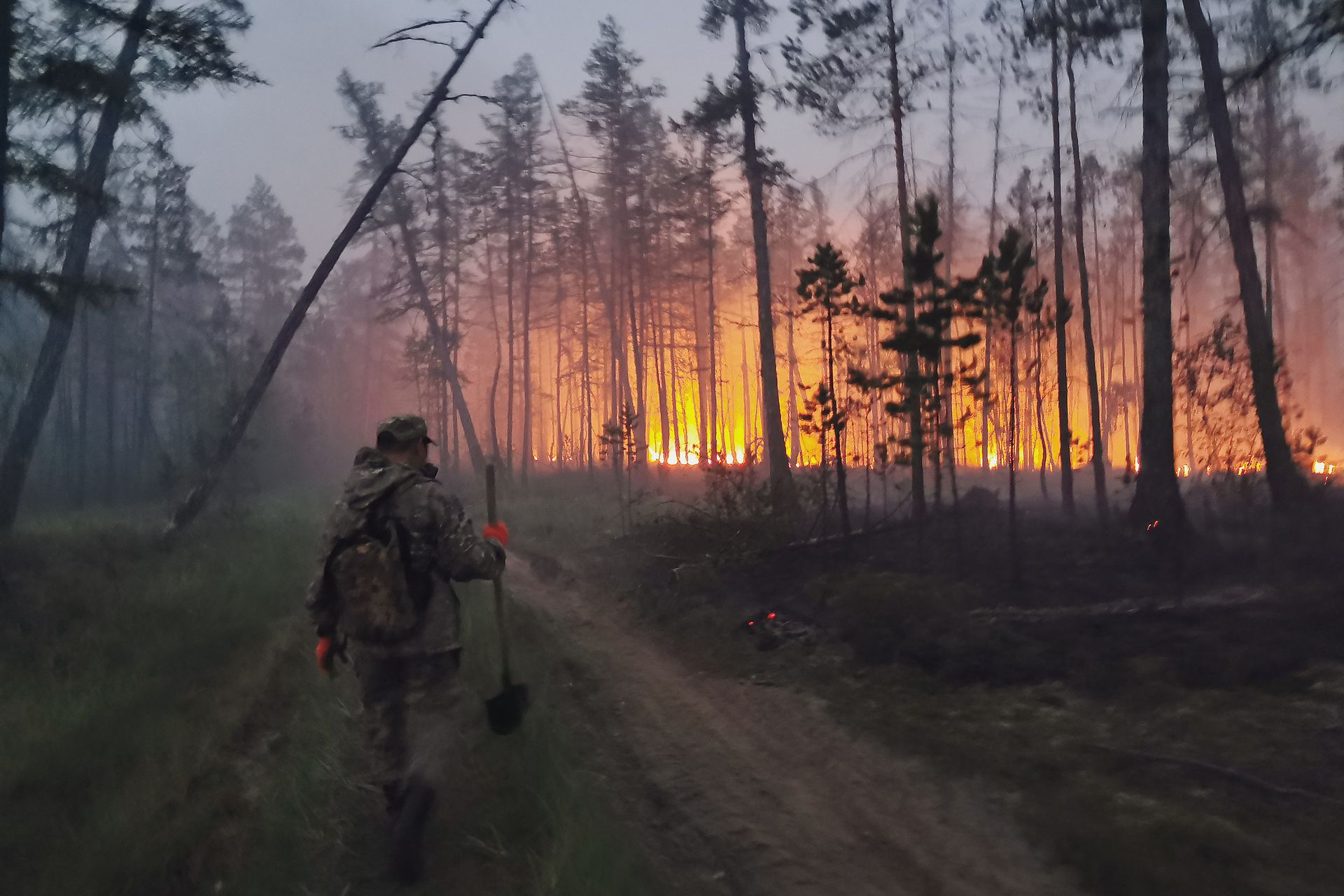 一场大火24小时吞没10万公顷森林 这国多地成“烟城”