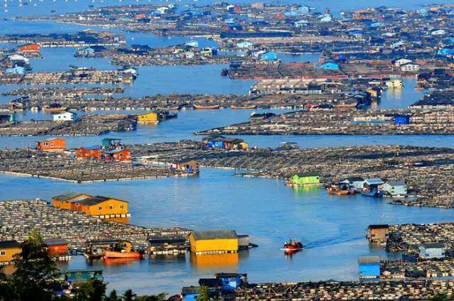 中國唯一漂在海上的城市 無數絕美風景(組圖) 新聞 第1張