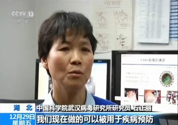 武汉病毒研究所的研究员石正丽。（视频截图）