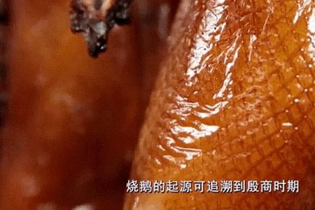 “乌梅子酱”配烧鹅 只是广东人吃鹅的冰山一角