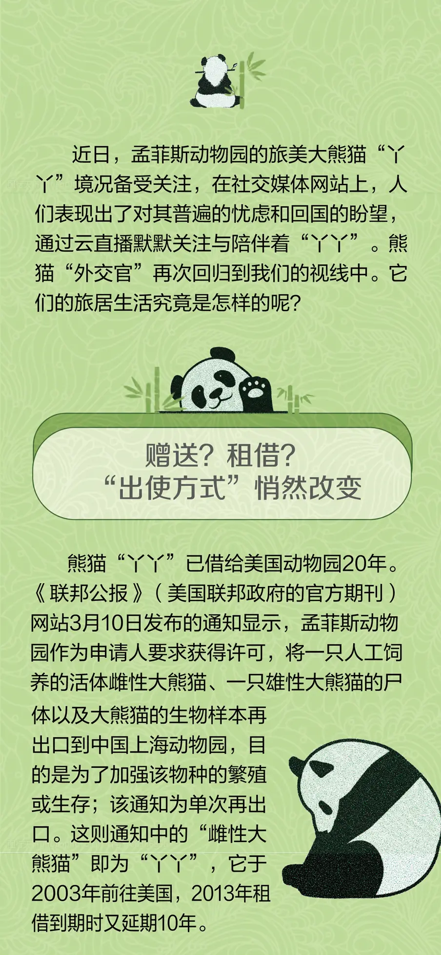 中国开展熊猫外交82年，“大使”们在外还好吗？