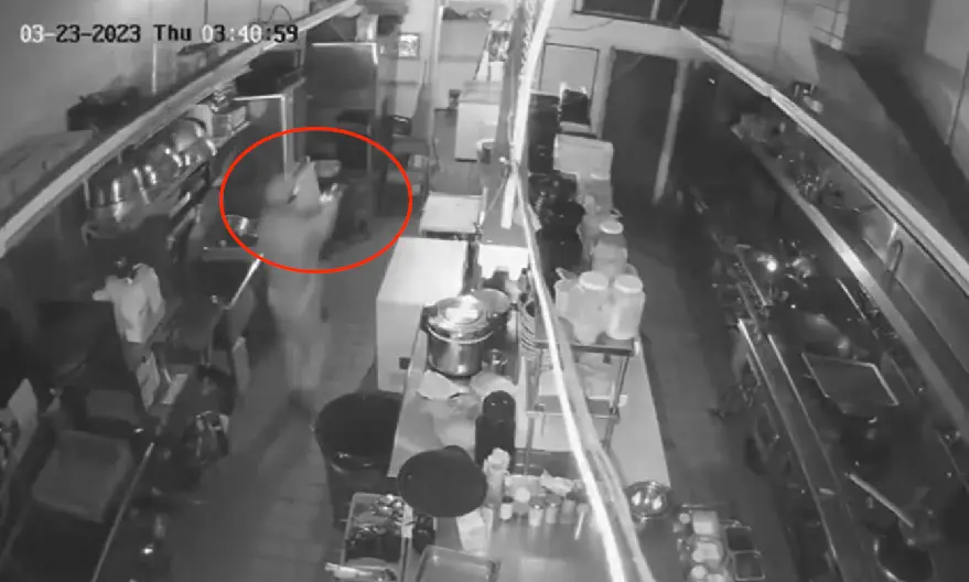 美国唐人街多家店铺遭洗劫 至少7名窃贼作案 有人持枪
