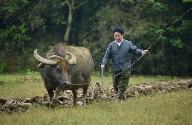 南昌原市长李豆罗：从农民到市长四十年 当回农民花了四小时